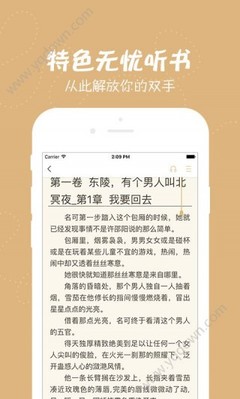 爱游戏官方合作意甲